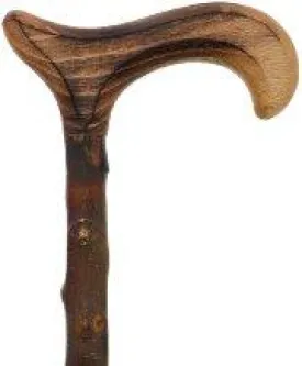 Blackthorn derby handle cane